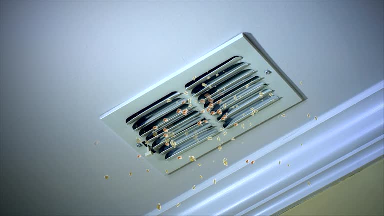 Air Duct Mold Removal in MT